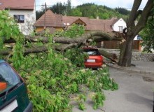 Kwikfynd Tree Cutting Services
sapphiretown